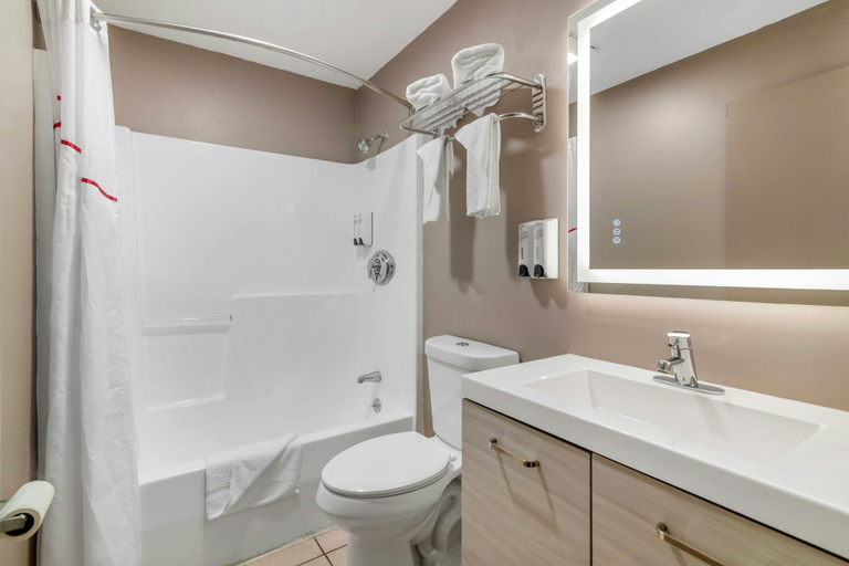 Bathroom 4, Red Roof Inn & Suites Swansea, Bristol