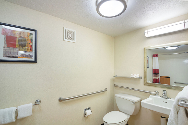 Bathroom 4, Red Roof Inn Madison, WI, Dane