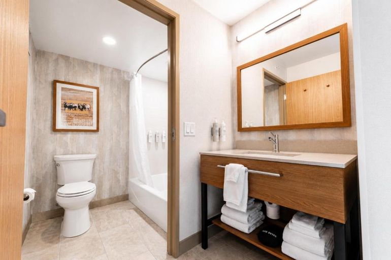 Bathroom 3, Hampton Inn by Hilton Hailey Sun Valley, Blaine