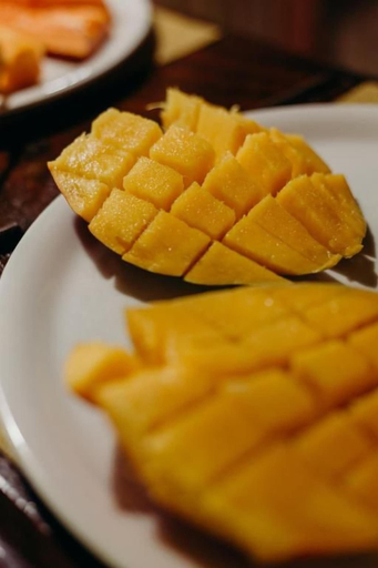 Food & Drinks 4, Pousada Nel Blu, Vera Cruz