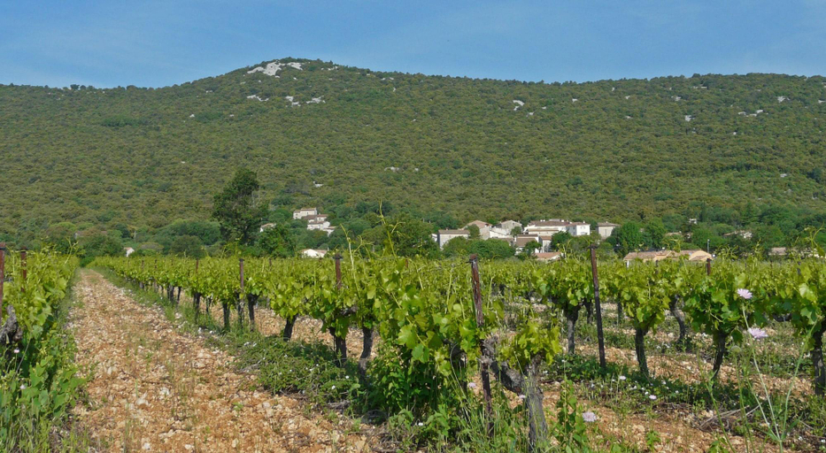 Exterior & Views 2, Demeure Ca Venol Les Rameaux, Hérault