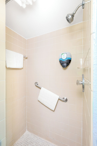 Bathroom 4, All Seasons Resort, Pinellas