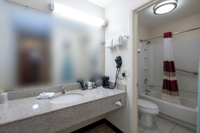 Bathroom 5, Red Roof Inn Dothan, Houston
