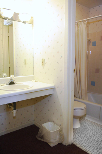 Bathroom 4, Country Club Inn Suites, Hancock