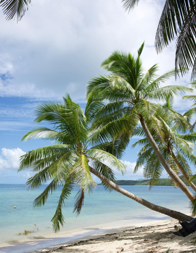 Beach, Vaturua Homestay, Ba