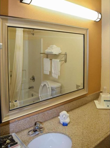 Bathroom 3, American Inn & Suites West Memphis I-40/I-55, Crittenden