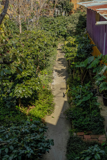 Property grounds 4, September Garden Homestay, Đà Lạt