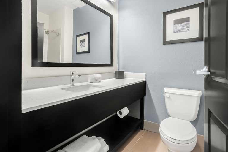 Bathroom 4, Hyatt Select Galveston - Beachfront, Galveston