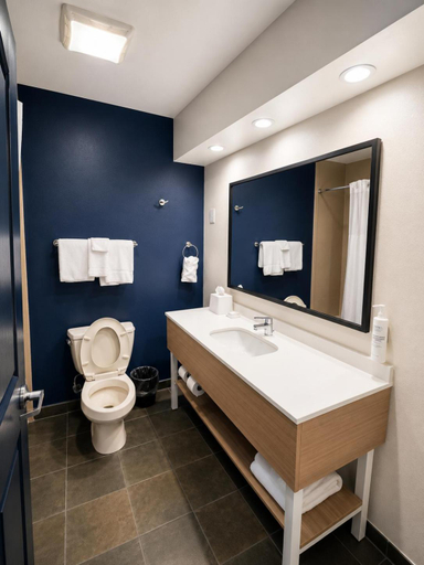 Bathroom 5, Spark by Hilton Lake George Outlets, Warren