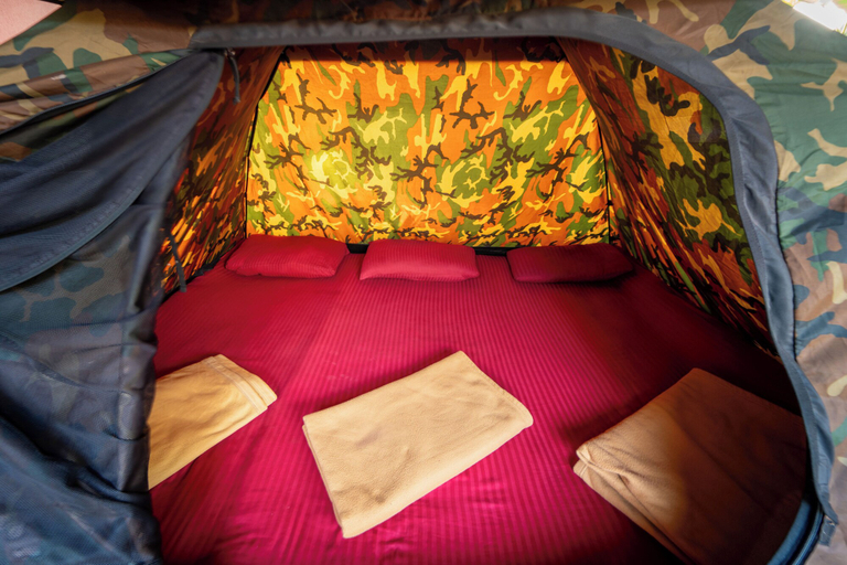 Room, Dandeli Serene Jungle Resort, Uttara Kannada