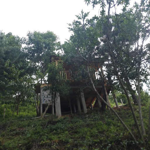 Property grounds 2, Cabañas valle escondido, Dist. Miahuatlan
