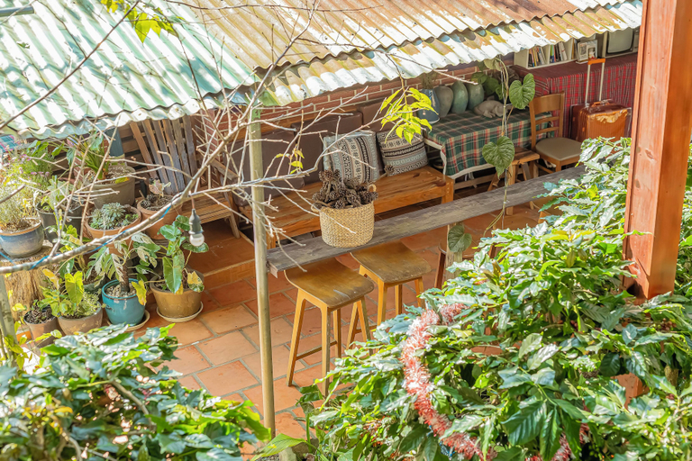 Terrace/patio 3, September Garden Homestay, Đà Lạt