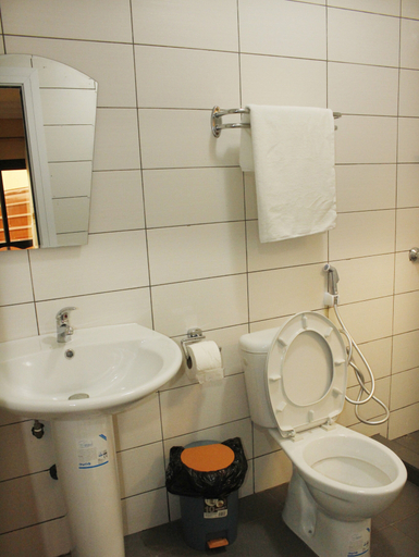 Bathroom 3, Alicia Hotel, Wouri
