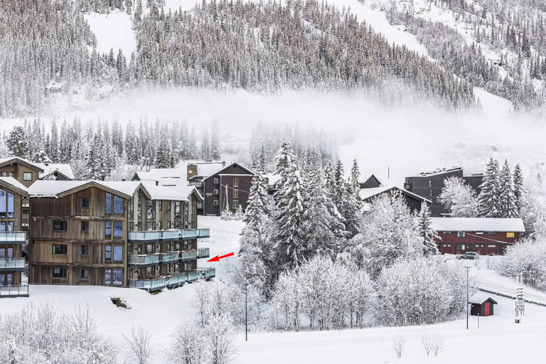 3, Mountain apartment in Hemsedal - For skiing and mountain tours, Hemsedal