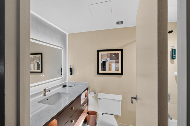 Bathroom 3, DoubleTree by Hilton Downtown Wilmington - Legal District, New Castle