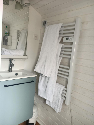 Bathroom 3, Roulotte Authentique aux Portes du Beaujolais climatisee avec terrasse Privative & Borne de Recharge, Ain