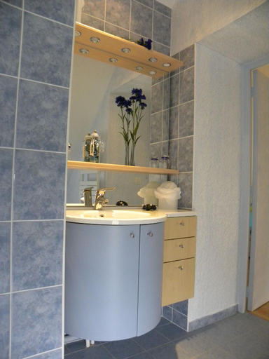 Bathroom 4, Maison d'Hotes La Queriere, Loir-et-Cher