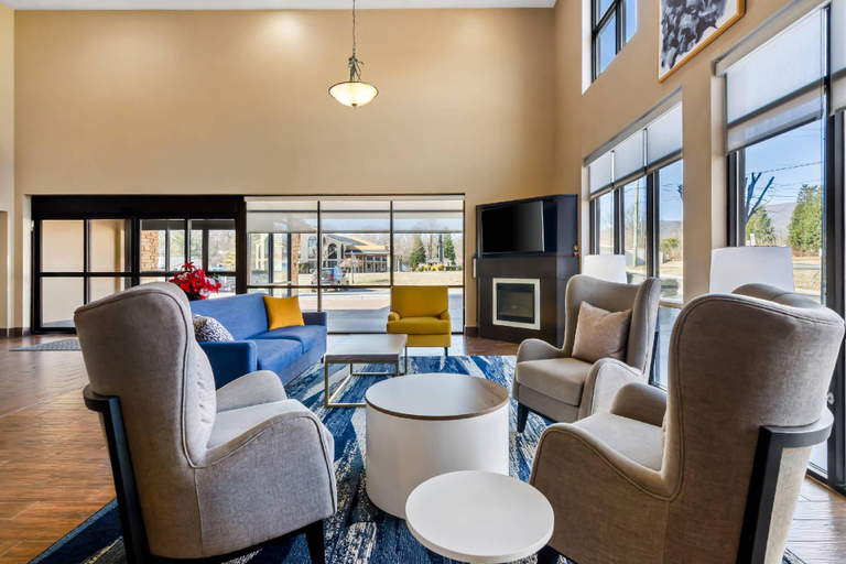 Public Area 2, Comfort Suites Salem-Roanoke I-81, Salem