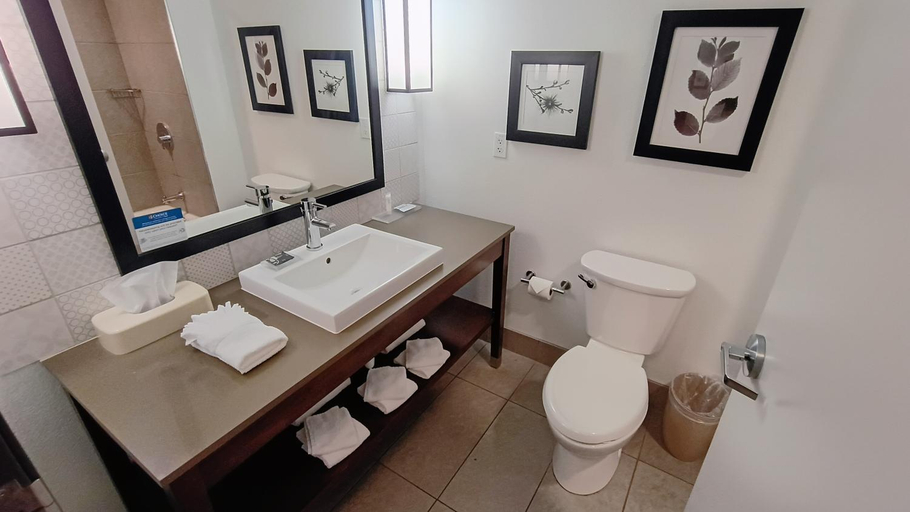 Bathroom 4, Country Inn & Suites by Radisson Lawrence, Douglas
