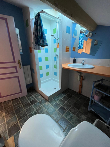 Bathroom, GITE DU ROY D'AMONT Plaine de l'Ain, repas sur reservation, Ain