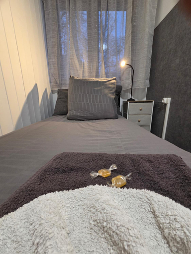 Bedroom 2, Chambres d'hotes la foret, Meurthe-et-Moselle