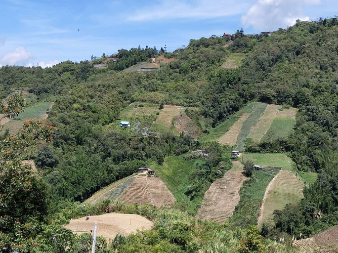Others, Ziemal homestay4, Ranau