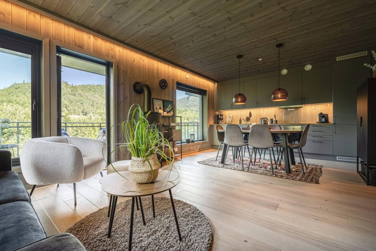 4, Mountain apartment in Hemsedal - For skiing and mountain tours, Hemsedal