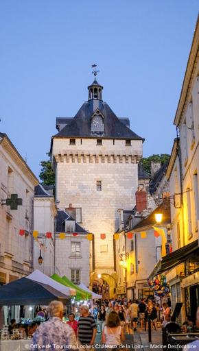 Exterior & Views 1, Le Puits Renaissance - Gites de caractere et piscine chauffee, Indre-et-Loire