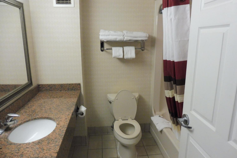 Bathroom, Red Roof Inn & Suites Galloway, Atlantic