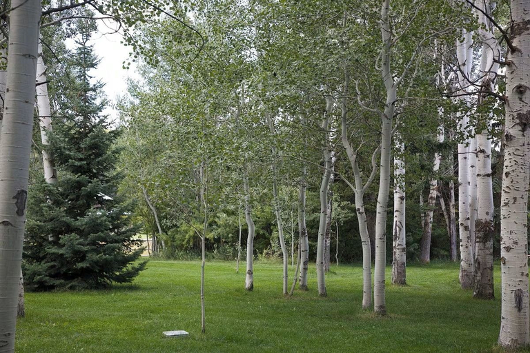 Property grounds 5, The Aspen Cabin, Gallatin