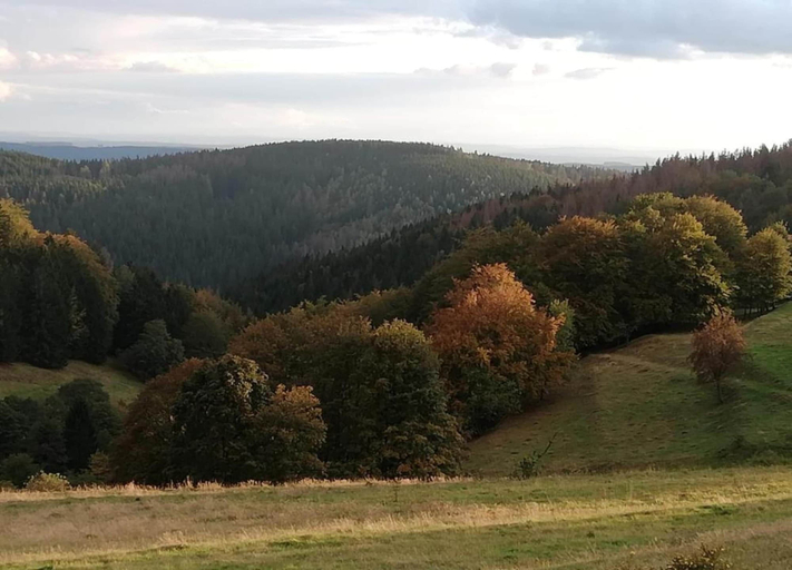 View from property 5, Family Comfort in Guntersberge, Harz