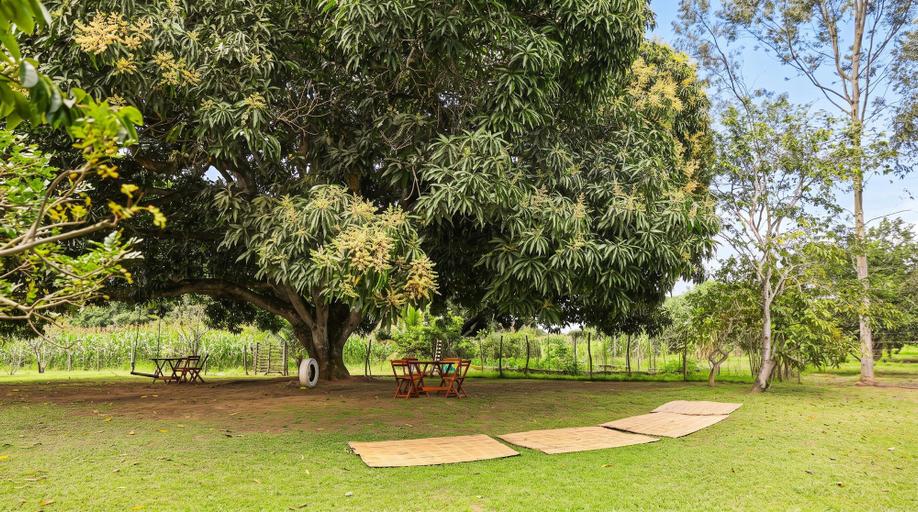 Room 3, Rancho Alegre Natureza e Santu rio de Animais, Itabaiana