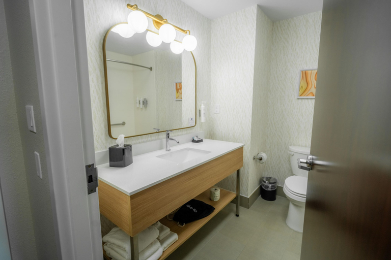 Bathroom 4, Hampton Inn & Suites Mission, Hidalgo