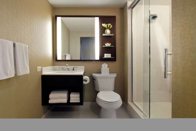 Bathroom 5, Hilton Chicago, Cook