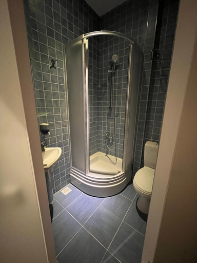 Bathroom 3, Bademli Ancanoz Taş Ev, Dikili