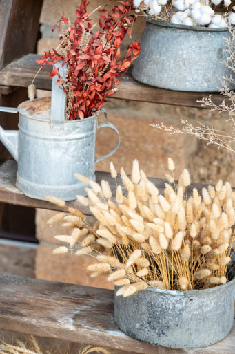 Food & Drinks, Nymfes Guesthouse, Peloponnese