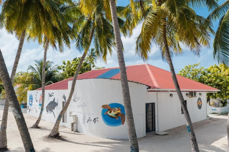 Exterior 5, FEEALI BUDDIES INN