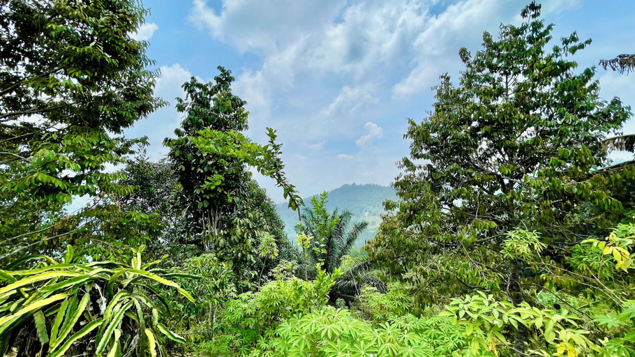 Miscellaneous 3, BambooZinc Campstay Pekan Nabalu, Tuaran