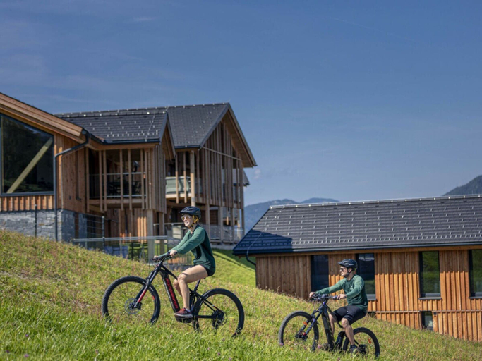 Miscellaneous 2, Apartment in Haus im Ennstal With Sauna, Liezen
