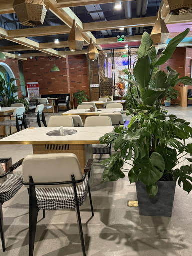 Food & Drinks 4, Vienna International Hotel Lhasa City Government, Lhasa