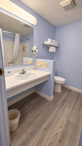 Bathroom 4, Up North Hotel (formerly Voyager Inn), Mackinac