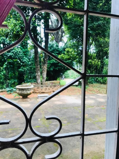 Property grounds 2, Sapphire Step Homestay, Doluwa