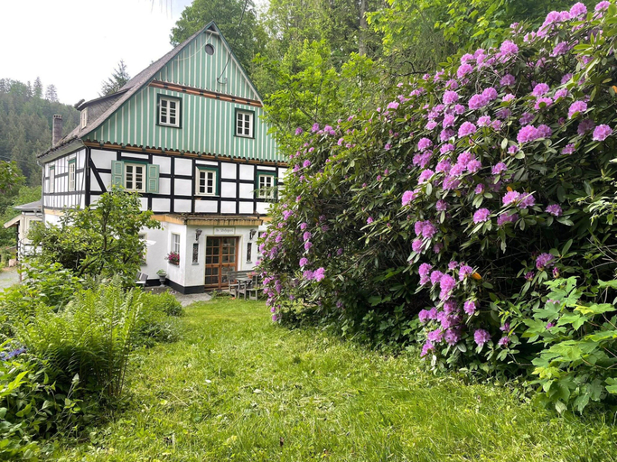 Primary image
