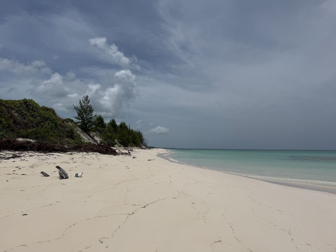 Beach 2, Outer Reef - Newly Remodeled Beachfront House, Walk Rest/bar 2 Bedroom Home