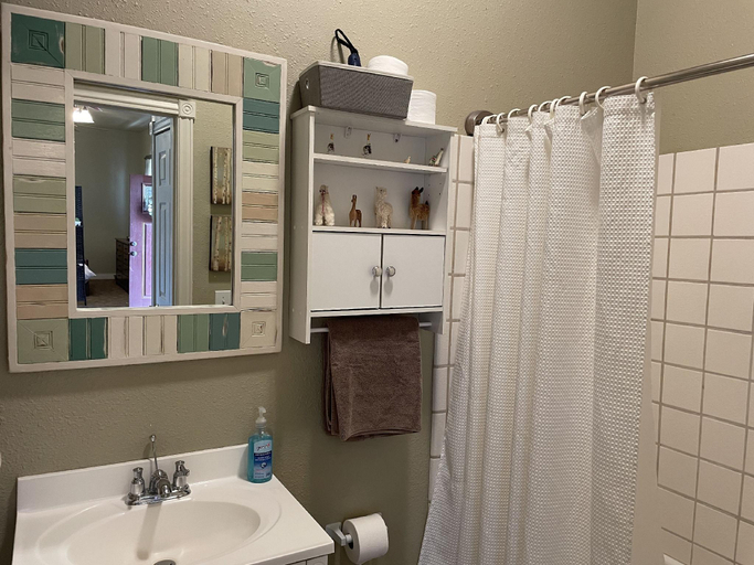 Bathroom, Llama-stay at Spooky Tooth Ranch – Mtn Views!!, Larimer