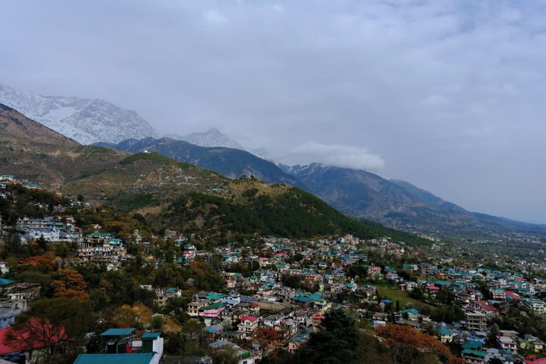 Miscellaneous 3, Mountain Monk, Kinnaur