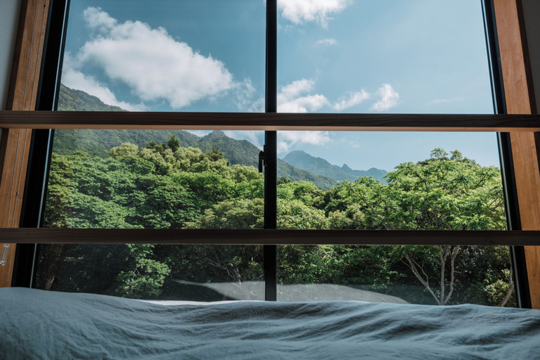 Others 4, Arc yakushima, Yakushima