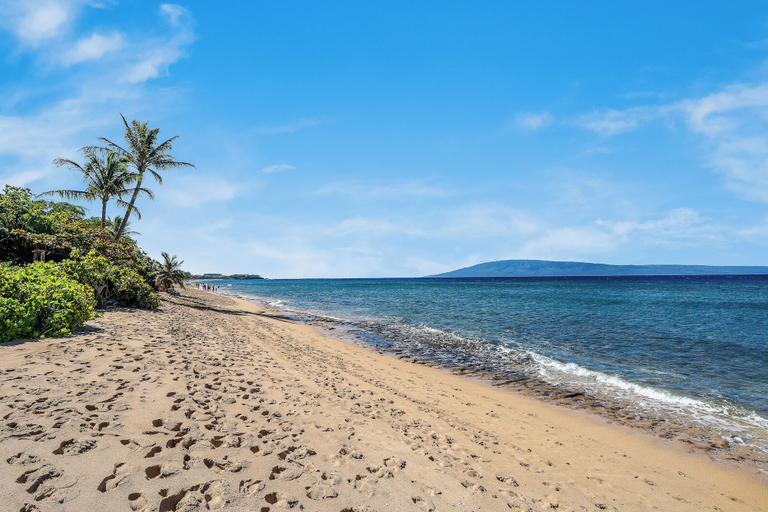 Others 5, Oceanfront 2BD w Pool AC, Stunning Views - Mahana 701, Maui