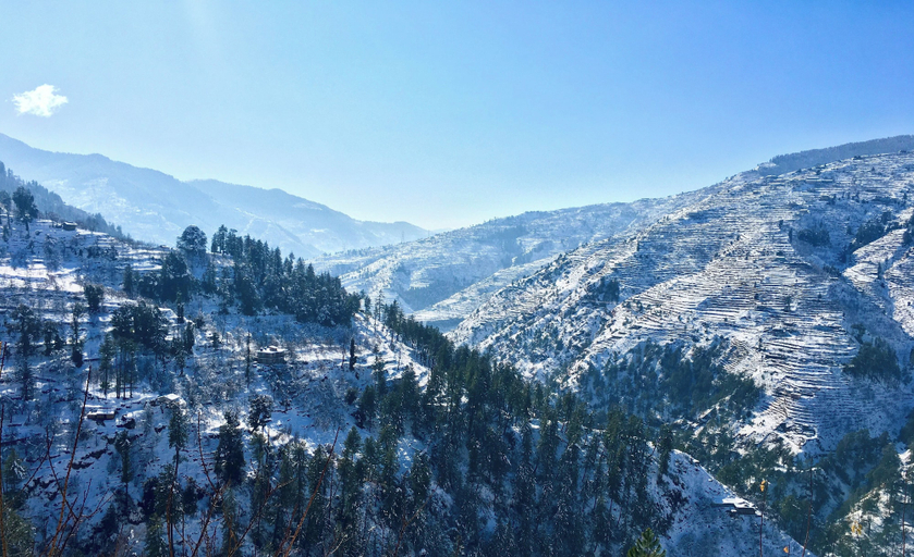 Miscellaneous 5, Mountain Monk, Kinnaur