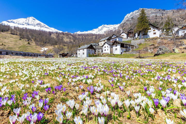 Exterior 5, Il Nido Di Gurin 2 -ski Hike and Trail Bosco Gurin, Vallemaggia